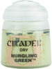 Citadel Farbe Dry - Nurgling Green 12ml