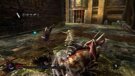 Pandoras Tower, gebraucht - Wii