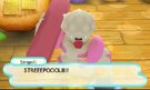 Pokémon Mystery Dungeon Portale in die, gebraucht - 3DS