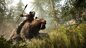 Far Cry Primal Special Edition, gebraucht - PS4