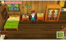 Story of Seasons, gebraucht - 3DS
