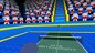 Ping Pong Table Tennis Simulator (VR) - PS4