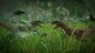 Jurassic World Evolution 1, gebraucht - XBOne