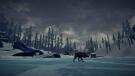 The Long Dark, gebraucht - PS4