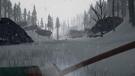 The Long Dark, gebraucht - PS4