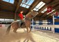 3in1 Reiterhof & Riding Star & Westernpferd, gebraucht - 3DS