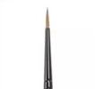 Citadel Pinsel Layer M