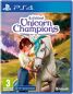 Wildshade Unicorn Champions - PS4