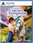 Wildshade Unicorn Champions - PS5