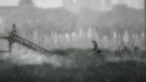 Salt and Sanctuary & Salt and Sacrifice - Switch