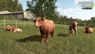 Landwirtschafts-Simulator 2025 Highlands Fishing Ed.- PS5