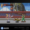 Jaleco Collection 1 - Evercade