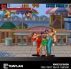 Toaplan Arcade 4 - Evercade