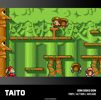 Taito Arcade 1 - Evercade