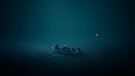 Reanimal Collectors Edition - XBSX
