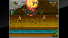 ACA NeoGeo Selection Vol. 8 - Switch