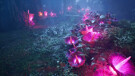 Dragonkin The Banished - XBSX