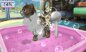 Pets Paradise Resort 3D, gebraucht - 3DS