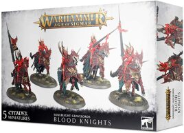 Warhammer Age of Sigmar - Soulblight G. Blood Knights