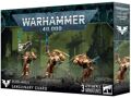 Warhammer 40.000 - Blood Angels Sanguinary Guard