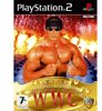 World Wrestling Championship, gebraucht - PS2