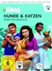 Die Sims 4 Addon Hunde & Katzen - PC-KEY/MAC