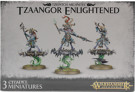Warhammer Age of Sigmar - Tzeentch Arc. Tzaangor Enlightened