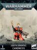 Warhammer 40.000 - Adepta Sororitas Canoness