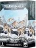 Warhammer 40.000 - Space Wolves Fenrisian Wolves