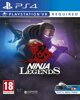 Ninja Legends (VR) - PS4