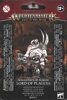 Warhammer Age of Sigmar - Maggotkin of N. Lord of Plagues