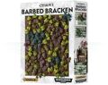 Citadel Barbed Bracken