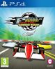 Formula Retro Racing World Tour Special Edition - PS4