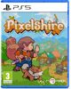 Pixelshire - PS5