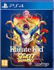 The Karate Kid Street Rumble - PS4