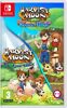 Harvest Moon Verlorene Tal & Dorf des Himmels - Switch