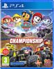 PAW Patrol Rescue Wheels Meisterschaft - PS4