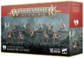 Warhammer Age of Sigmar - Soulblight G. Barrow Guard